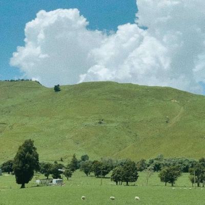 澳门银银河官方网welcomeapp下载