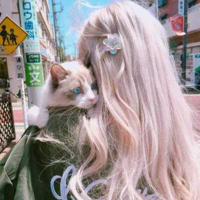 尊龙手机版下载