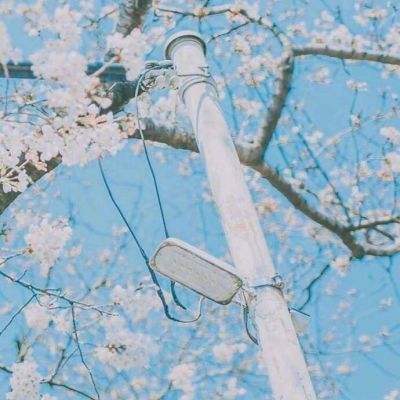 pg娱乐电子游戏app下载