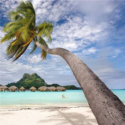 雷泽体育官方入口