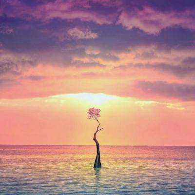 乐鱼体育平台下载地址