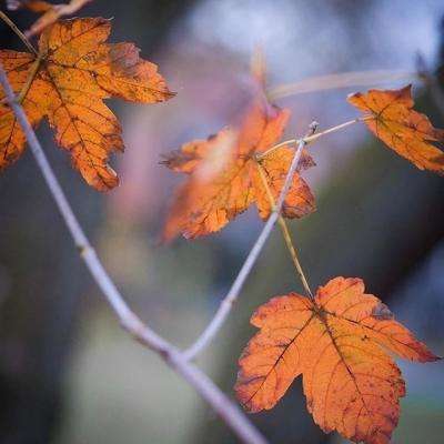 宝威体育官网入口