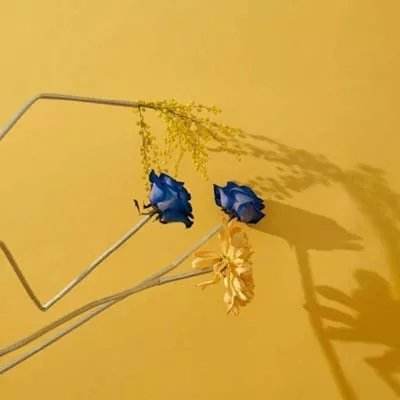 雷泽体育官方入口